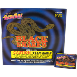 Black Snakes (6) in a box