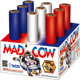 Mad Cow Cake (1)
